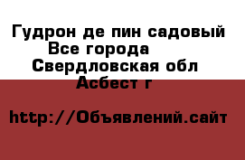 Гудрон де пин садовый - Все города  »    . Свердловская обл.,Асбест г.